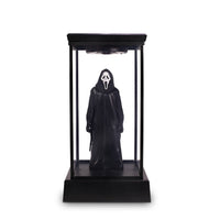 Display Box